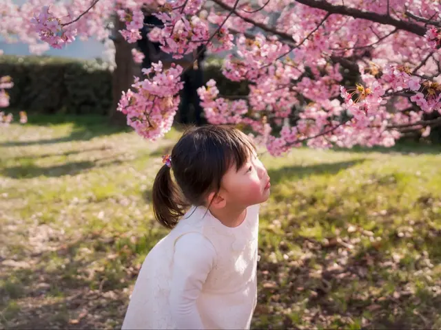 予約対応から撮影・納品まで自社対応