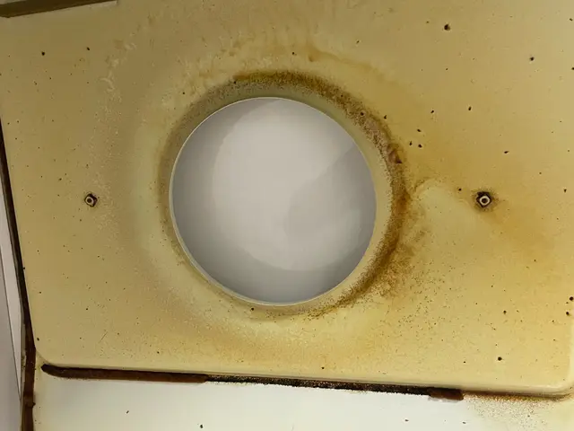 毎日使うものだからこそ、綺麗にしませんか？サービスの画像