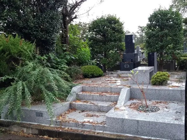 庭師が綺麗にさせていただきます【女性1級造園技能士】サービスの画像