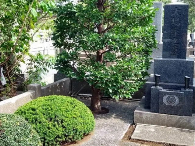 庭師が綺麗にさせていただきます【女性1級造園技能士】サービスの画像