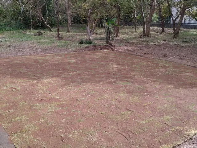 ☆業歴20年　一級造園施工管理技士が対応！　【美しく•きれいな遊べるお庭に！】☆サービスの画像