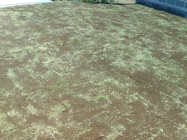 ☆業歴20年　一級造園施工管理技士が対応！　【美しく•きれいな遊べるお庭に！】☆サービスの画像