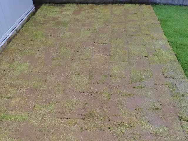 ☆業歴20年　一級造園施工管理技士が対応！　【美しく•きれいな遊べるお庭に！】☆サービスの画像