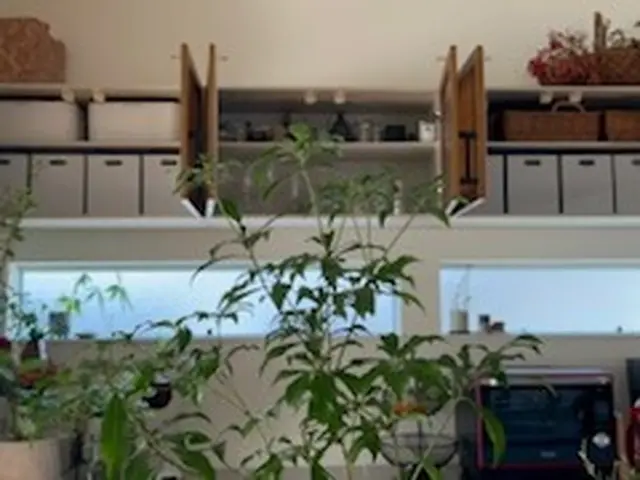 【資格保有】あなたに合った仕組みづくりで、無理なく整う暮らしにしましょう！サービスの画像