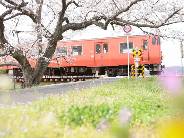 出張！記念フォト【振袖など着物レンタル・着付けも可能】全データ渡し