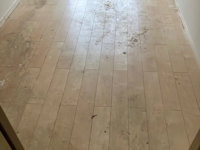 【業歴18年の経験と実績】某不動産会社とも提携！！キレイにしたいなら是非弊社へ！サービスの画像