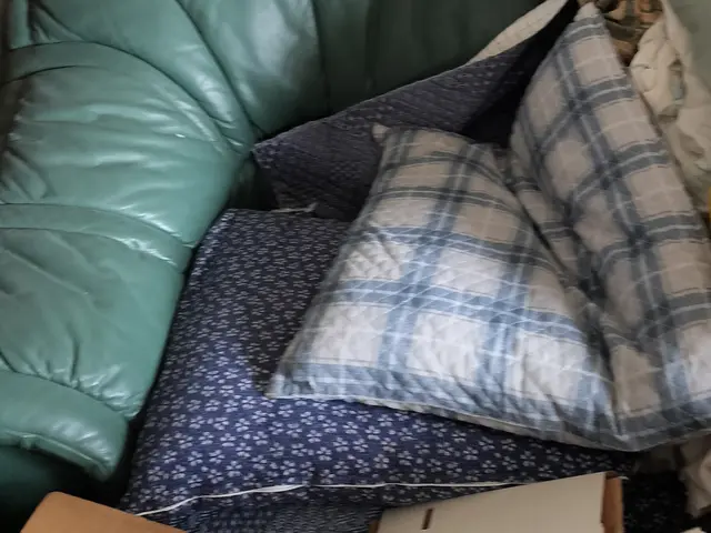 【迅速】【確実】【丁寧】なおかたづけ作業でご不要になったお品を回収します！サービスの画像