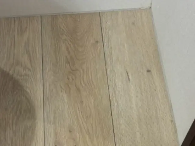 12月新出店◎賃貸原状回復に強い【板橋区/北区】サービスの画像