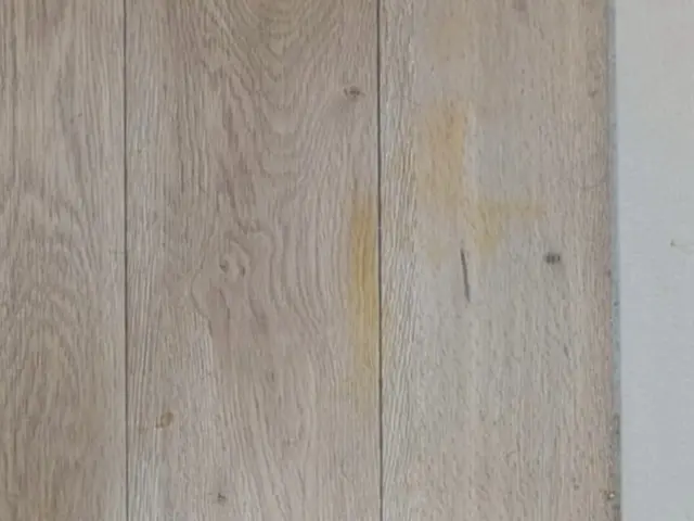 12月新出店◎賃貸原状回復に強い【板橋区/北区】サービスの画像