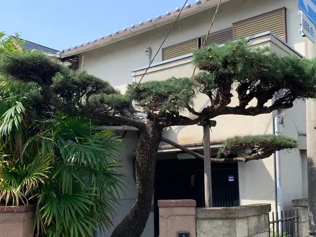 お庭の植木の剪定・伐採・消毒・防草シート施工等サービスの画像