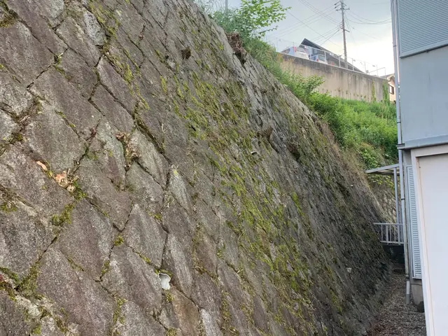 お庭の植木の剪定・伐採・消毒・防草シート施工等サービスの画像