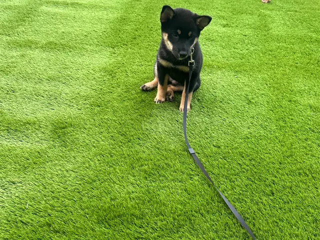 【年中無休】プロの技術でご満足いただけるように心を込めて作業いたしますサービスの画像