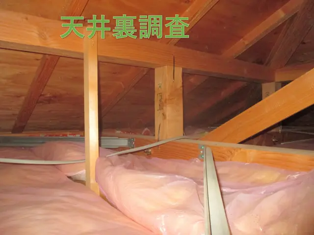 アシュア住宅診断は戸建は新築中古も一律66000円(税込)床下天井裏潜入も標準！サービスの画像