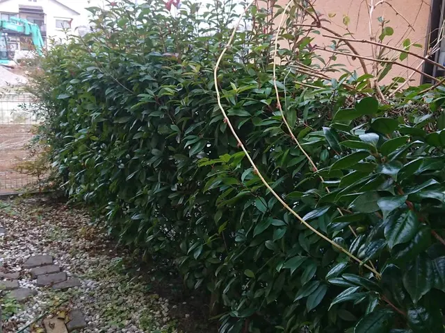 【職人歴10年以上の経験】◆年中無休◆駐車代お店負担◆損害保険加入店◆サービスの画像