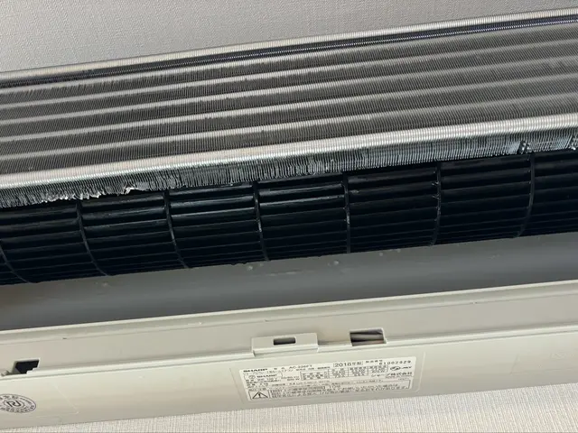 ★新規出店/業界経験５年★安心安全「損害保険加入済み」「インボイス登録事業者」サービスの画像