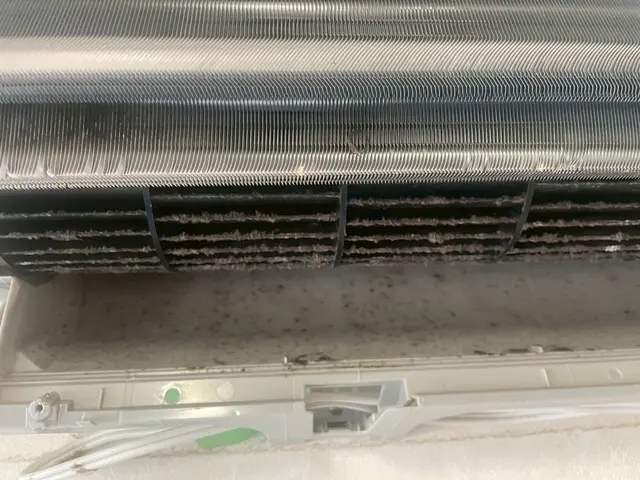 ★業界経験５年★安心安全「損害保険加入済み」「インボイス登録事業者」サービスの画像