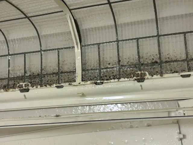 ★新規出店/業界経験５年★安心安全「損害保険加入済み」「インボイス登録事業者」サービスの画像