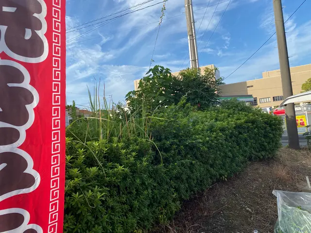 ◆業歴10年以上の実績◆損害保険加入済◆懇切丁寧がモットーです！！サービスの画像