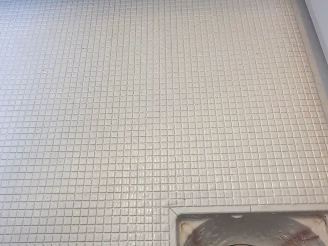 【経験14年の技術者が訪問〜施工】カビ/石鹸カス/鏡ウロコ除去！◉満足度96%◉サービスの画像