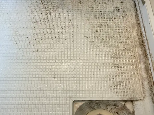 【経験14年の技術者が訪問〜施工】カビ/石鹸カス/鏡ウロコ除去！◉満足度96%◉サービスの画像