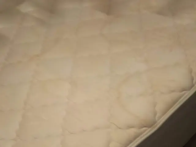 【年中無休】土日祝もご予約歓迎！★安心のエコ洗剤使用★損害保険加入店★サービスの画像