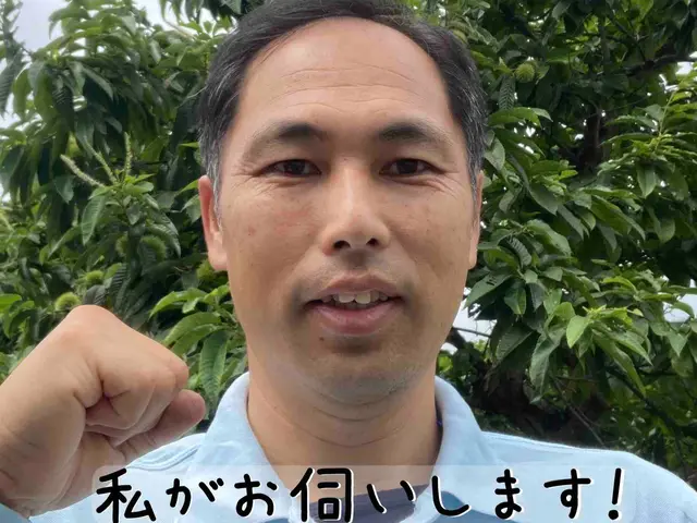 低所の蜂駆除専門サービスの画像