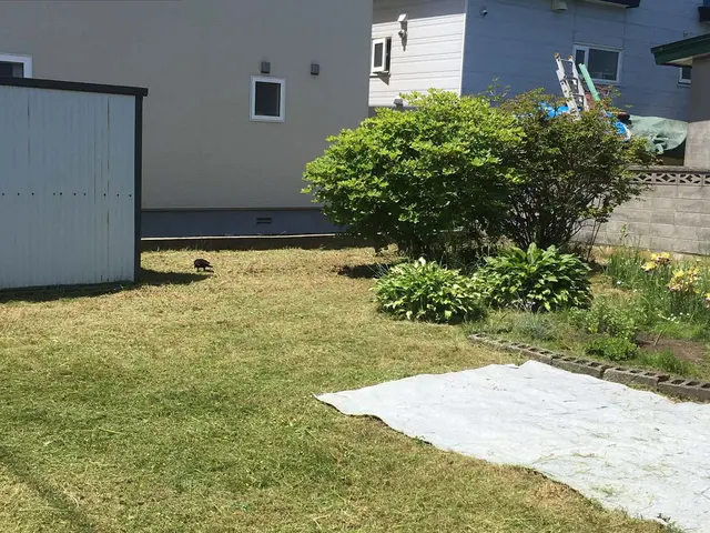 空地・管理地 草刈り代行サービスサービスの画像