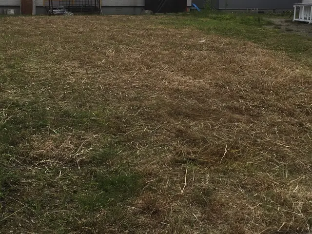 空地・管理地 草刈り代行サービスサービスの画像