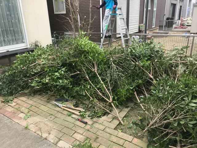 ◇女性スタッフ同行可能◇万が一の損害保険加入済み！生活をサポートします！サービスの画像