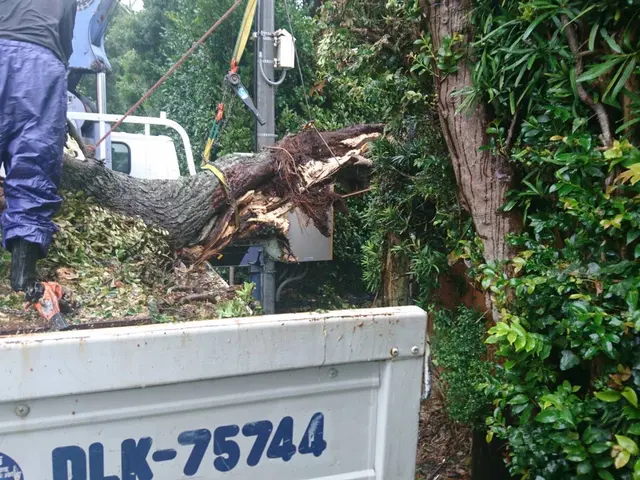 ◇女性スタッフ同行可能◇万が一の損害保険加入済み！生活をサポートします！サービスの画像