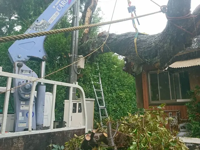 ◇女性スタッフ同行可能◇万が一の損害保険加入済み！生活をサポートします！サービスの画像