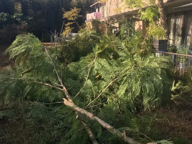 ◇女性スタッフ同行可能◇万が一の損害保険加入済み！生活をサポートします！サービスの画像