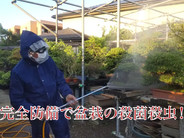 大宮氷川神社と盆栽村で腕を磨いた１級造園施工管理技士補★光と風を感じる自然風剪定サービスの画像