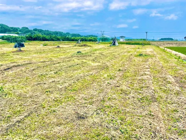 【40年以上の実績！】丁寧に作業いたします◎ぜひ、一度プロの技をお試しください！サービスの画像