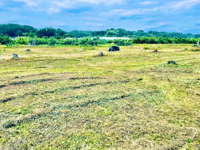 【40年以上の実績！】丁寧に作業いたします◎ぜひ、一度プロの技をお試しください！サービスの画像