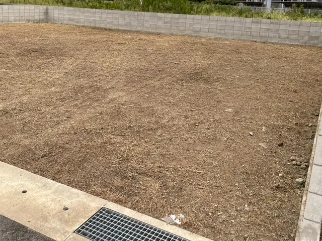 草が大きくなると予算も大きくなる…そうなる前に早めにご相談ください^ - ^サービスの画像