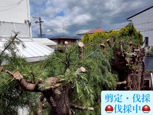 お客様のお力になります！経験と知識を活かして迅速丁寧に作業いたします！サービスの画像