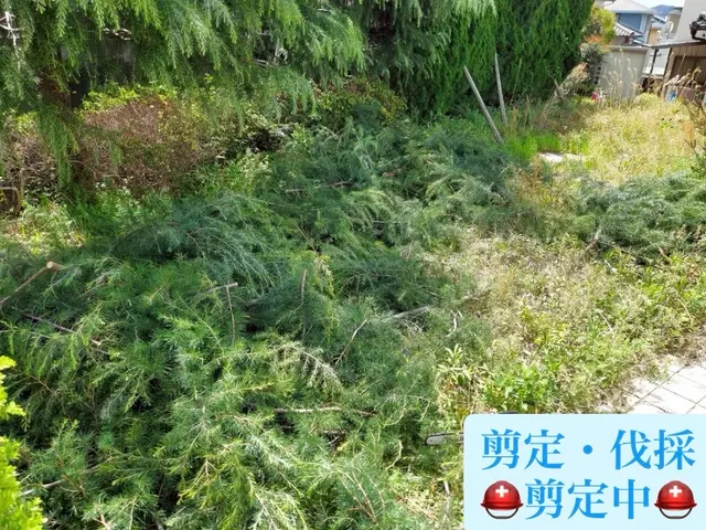 お客様のお力になります！経験と知識を活かして迅速丁寧に作業いたします！サービスの画像