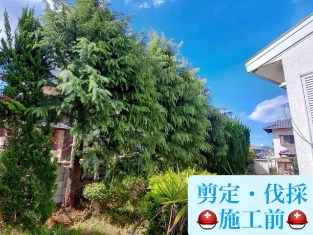 お客様のお力になります！経験と知識を活かして迅速丁寧に作業いたします！サービスの画像