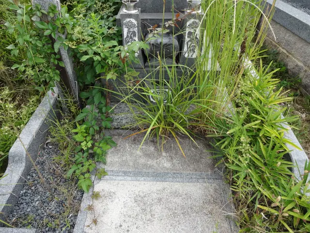 石材店様からの委託も引き受けている墓石メンテナンスの専門店ですサービスの画像