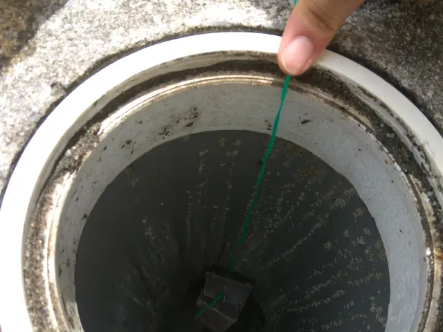 もうネズミに悩まされる事はありません！年間管理型ねずみ駆除制度あります！サービスの画像