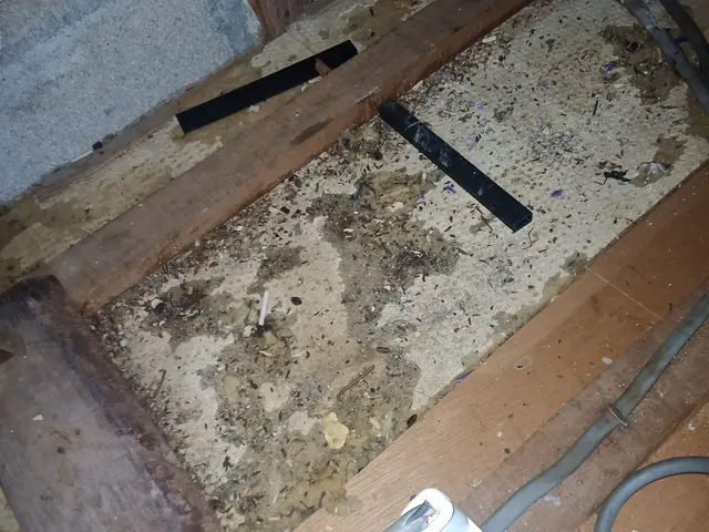 もうネズミに悩まされる事はありません！年間管理型ねずみ駆除制度あります！サービスの画像