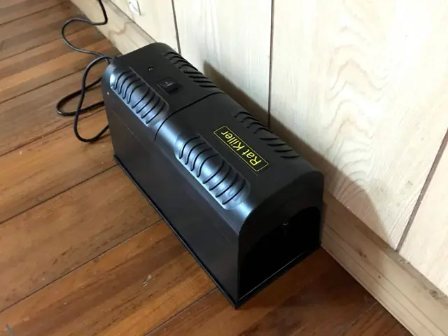 もうネズミに悩まされる事はありません！年間管理型ねずみ駆除制度あります！サービスの画像