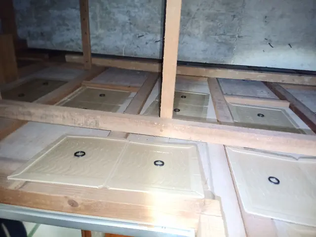 もうネズミに悩まされる事はありません！年間管理型ねずみ駆除制度あります！サービスの画像