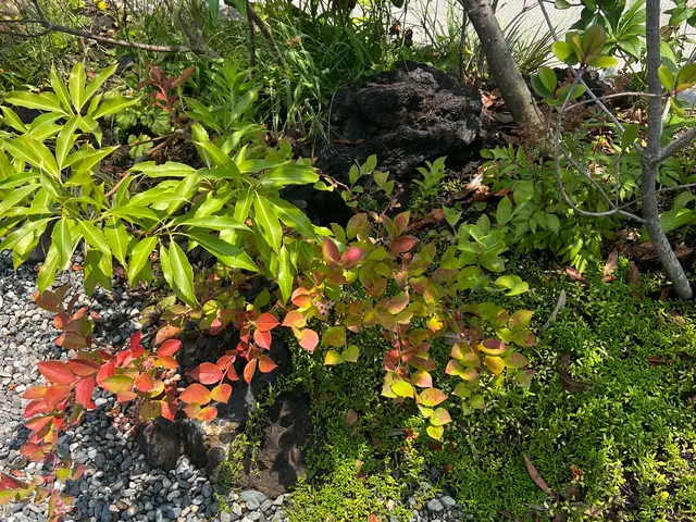 年中無休！近隣の方々にご迷惑にならないよう対応しますサービスの画像