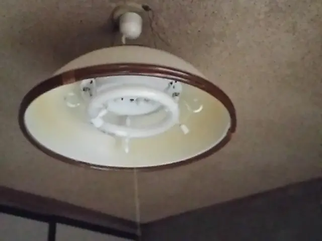 高所の電球交換。サービスの画像