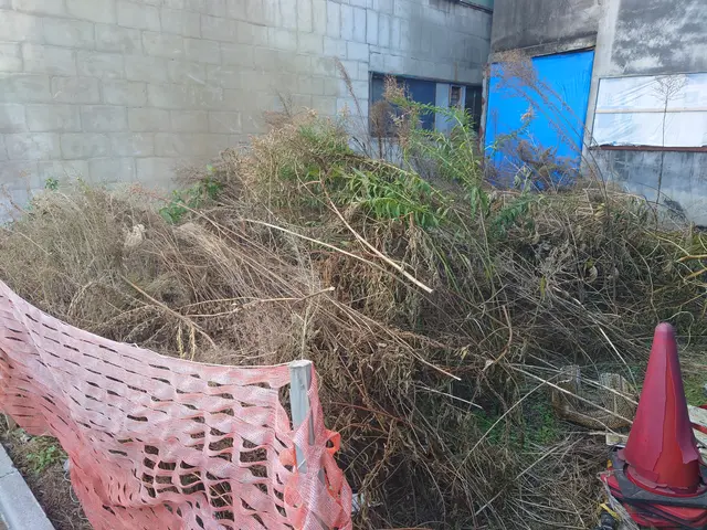 【荒川区】損害保険加入済み！御客様の後納得のいく庭作りを目指しております！サービスの画像