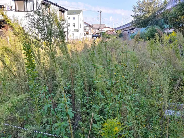 【荒川区】損害保険加入済み！御客様の後納得のいく庭作りを目指しております！サービスの画像