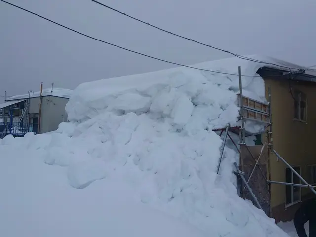 除雪・排雪・屋根の雪下ろし・ソーラーパネル・メガソーラー除雪サービスの画像