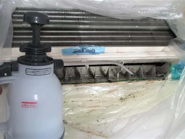 自然由来の “エコ洗剤” で優しくお掃除するので、デリケートな方にも安心・安全！サービスの画像